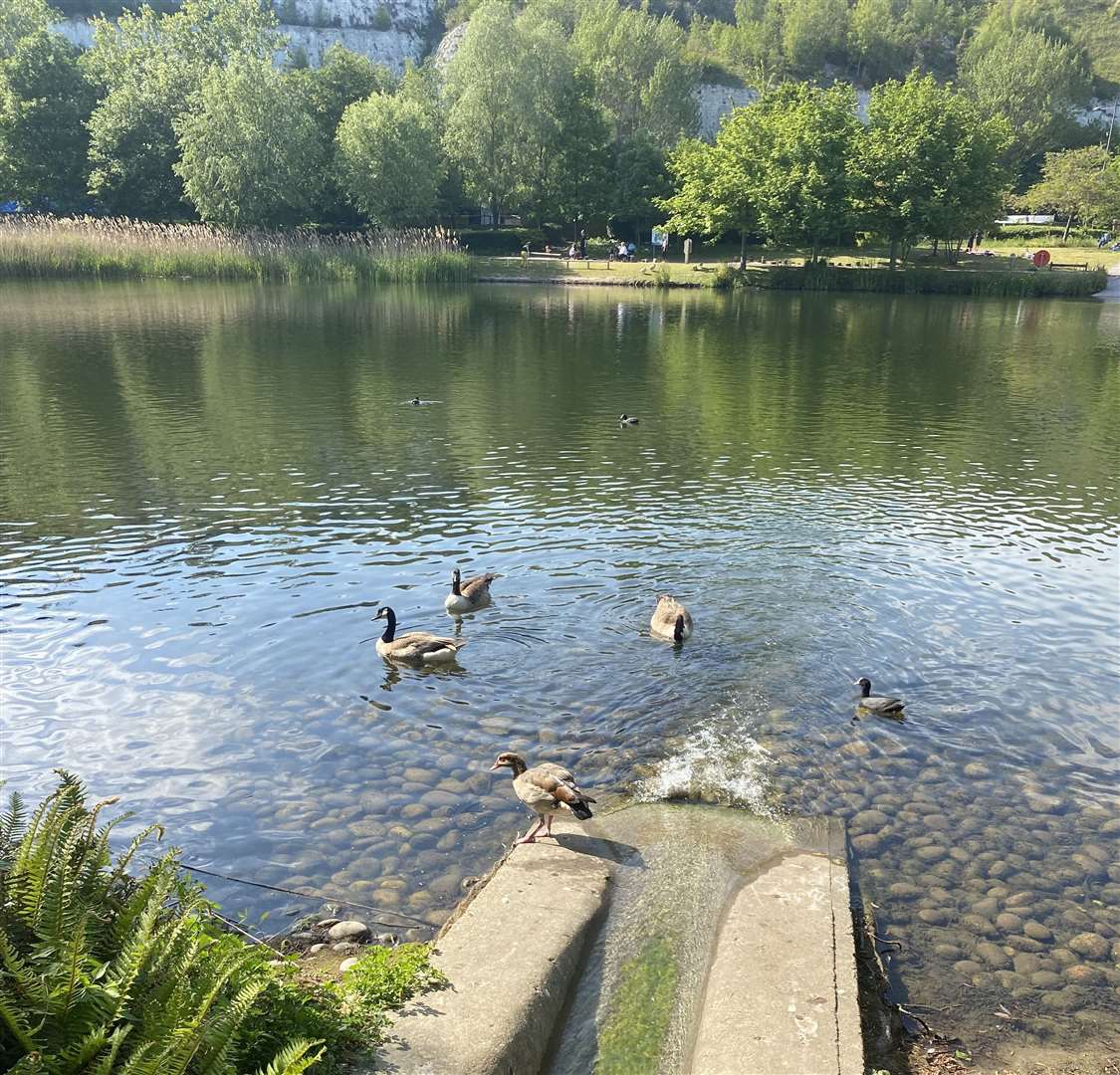 The nature trail and green spaces have been a haven for young families and local residents during lockdown