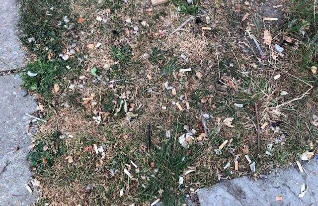 The garden is littered with a heavy covering of discarded cigarette butts and it looks as if it hasn’t been cleared up for ages