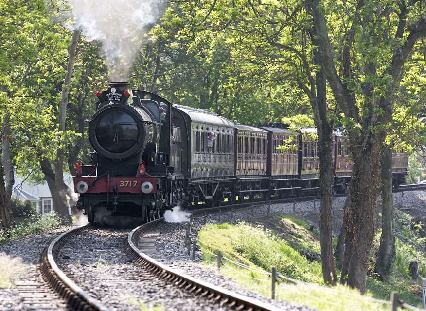 Trains were delayed on the Kent & East Sussex Railway Picture courtesy: Lewis Brockway