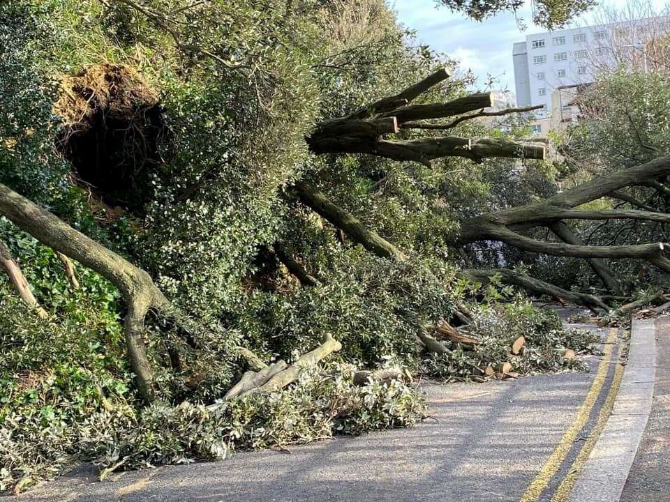 The Road of Remembrance has been damaged after the incident. Picture: Stephen West