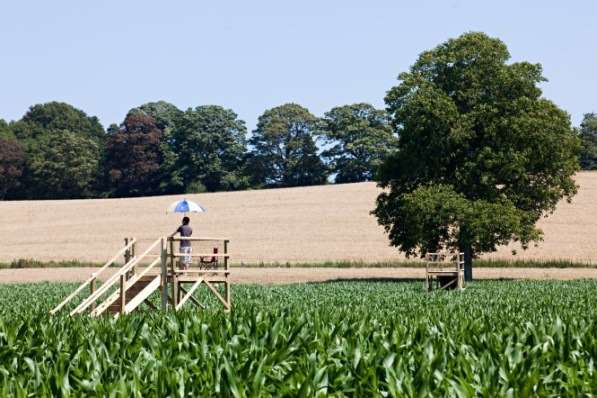 Attempt the great escape at Penshurst Place