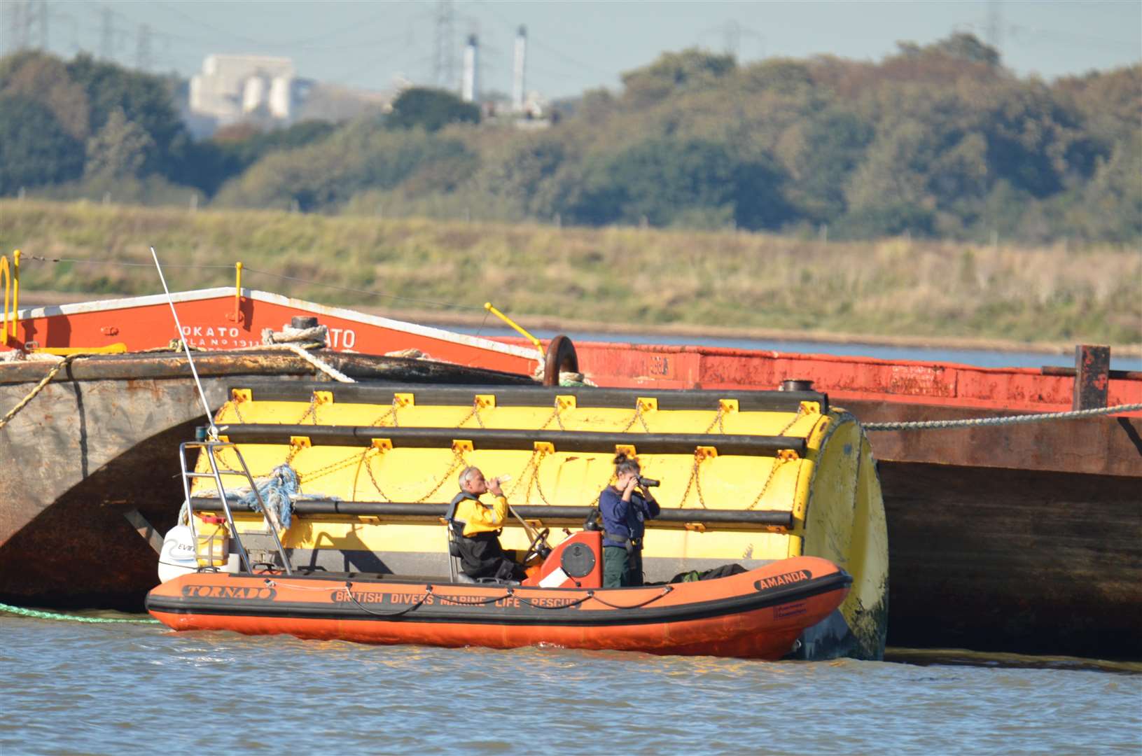 The British Divers Marine Life Rescue have been monitoring the whale. Picture: Jason Arthur