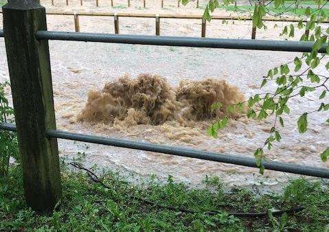 Sewage leak at Mote Park (1709993)