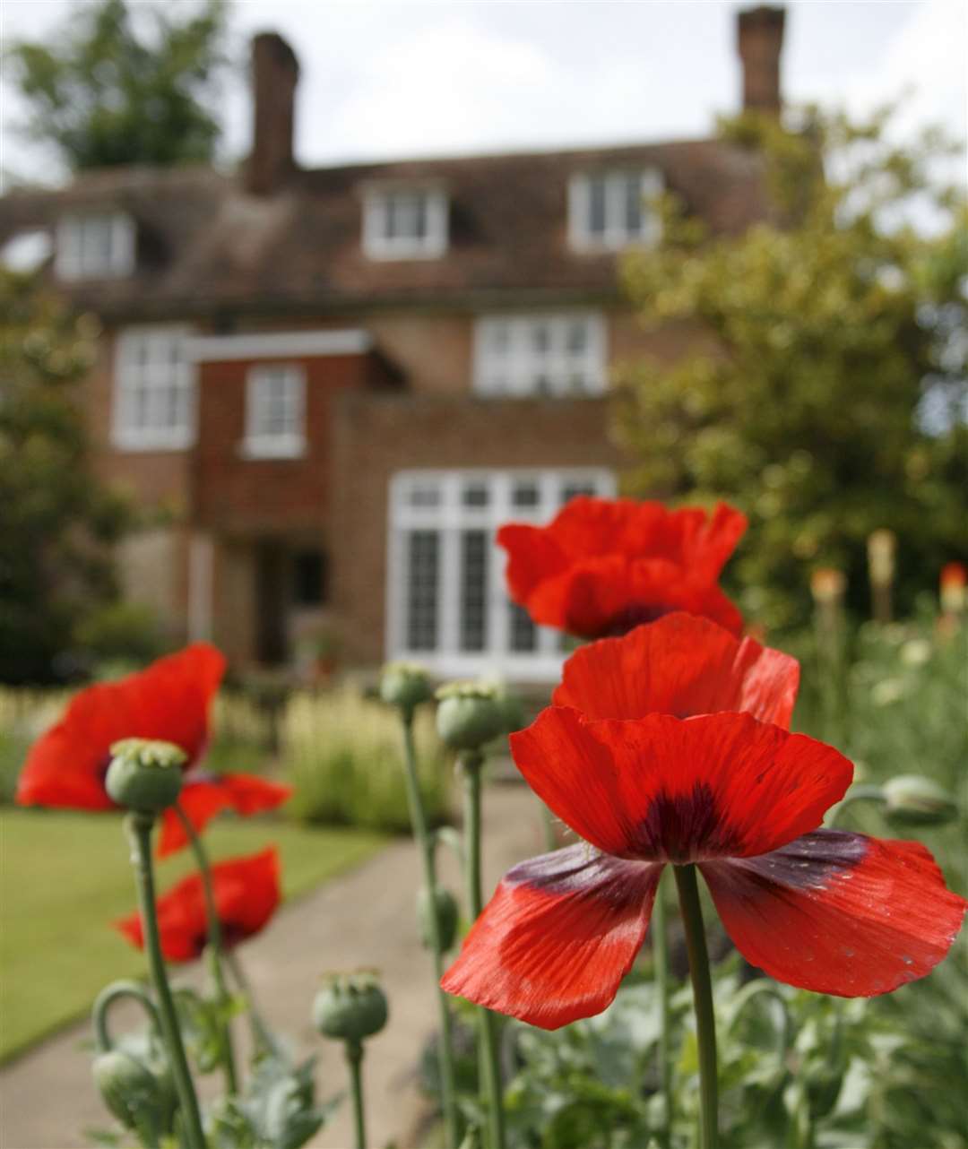 Great Comp Gardens' summer show is its biggest show of the year