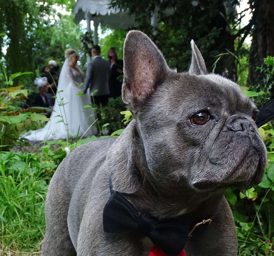 Getting in on the action Picture: Furrytail Weddings