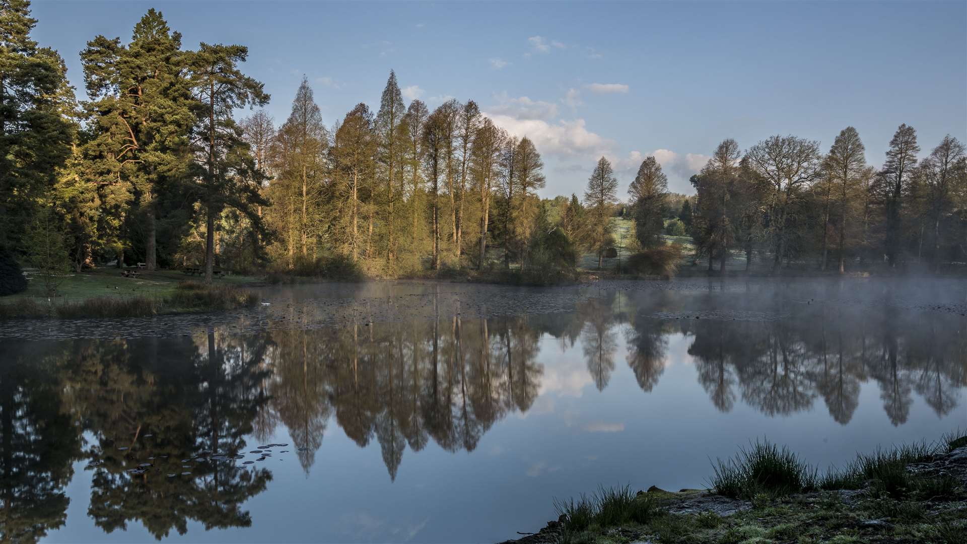 Visit Bedgebury Pinetum for a bracing winter walk. Picture: David Jenner