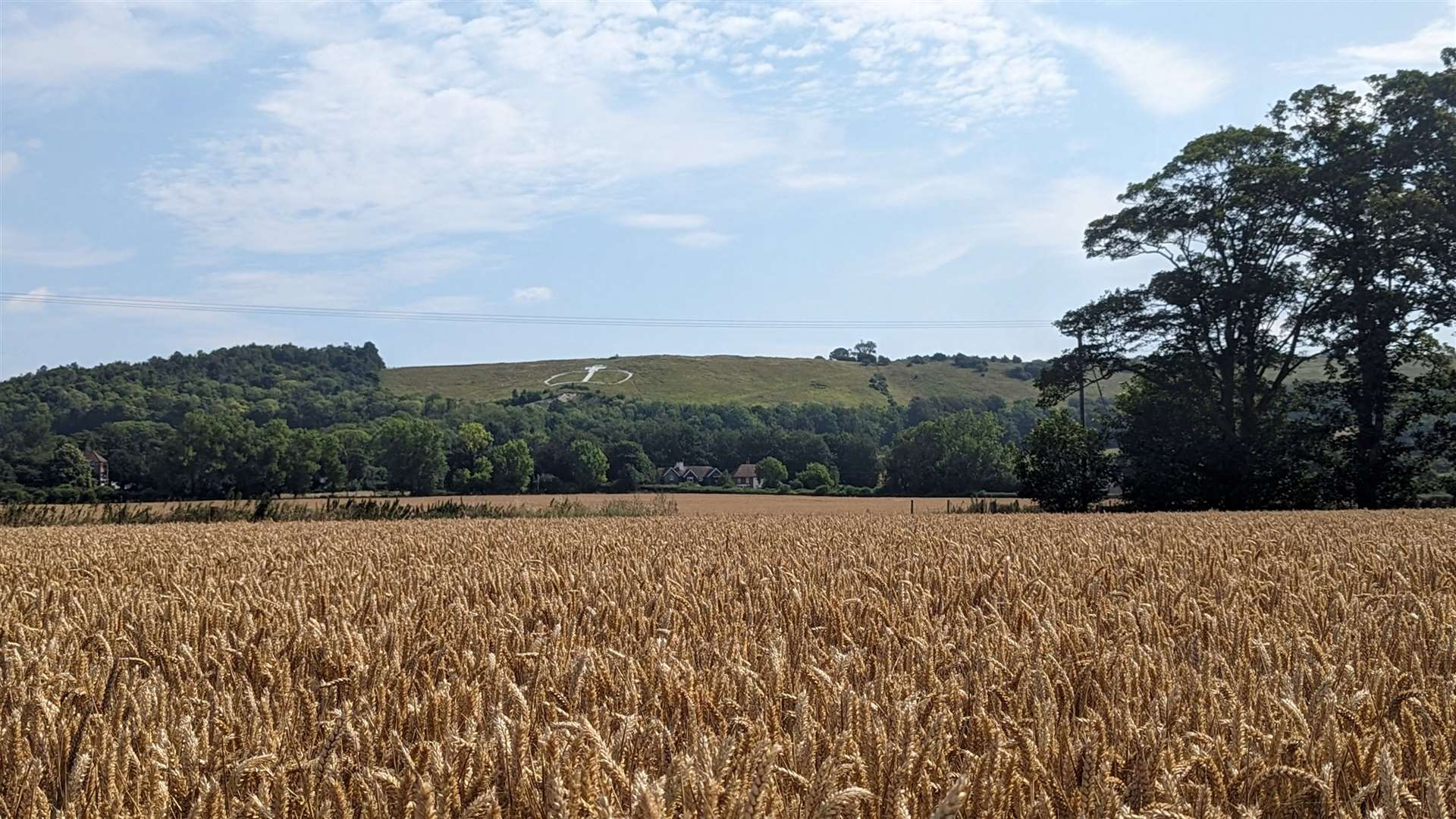 The view up towards the Wye Crown cut into the hillside above