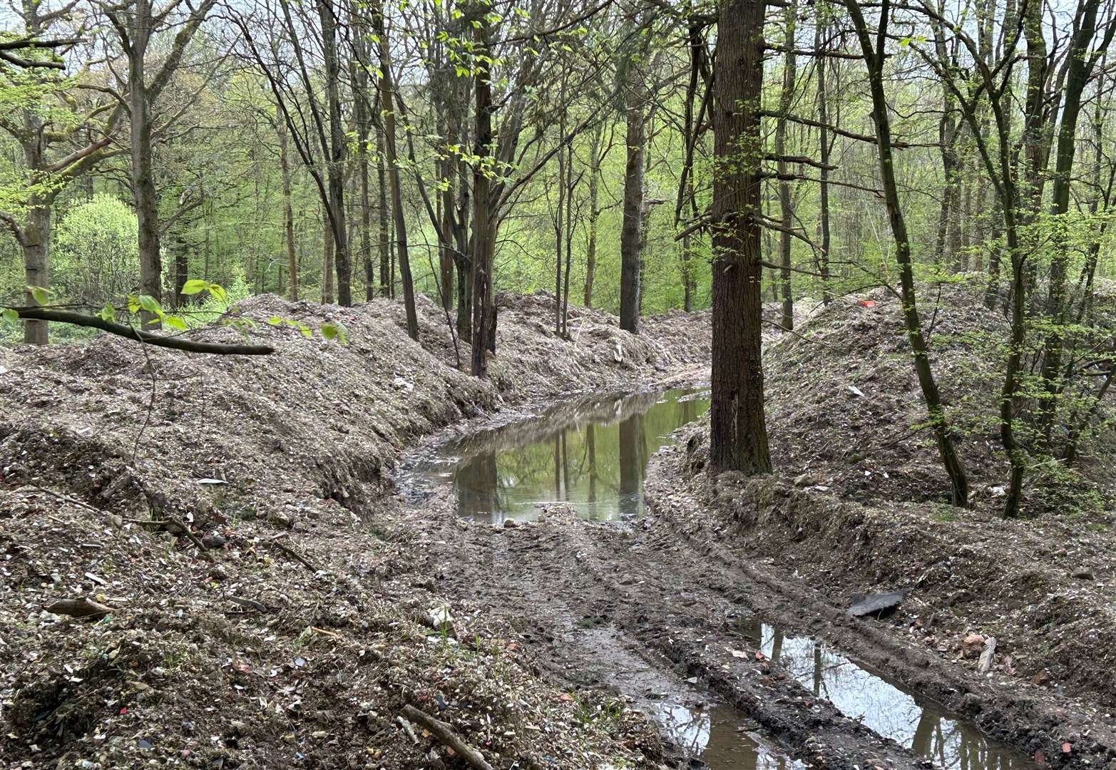 Rubbish is piled 12ft high across part of Hoad’s Wood, near Ashford