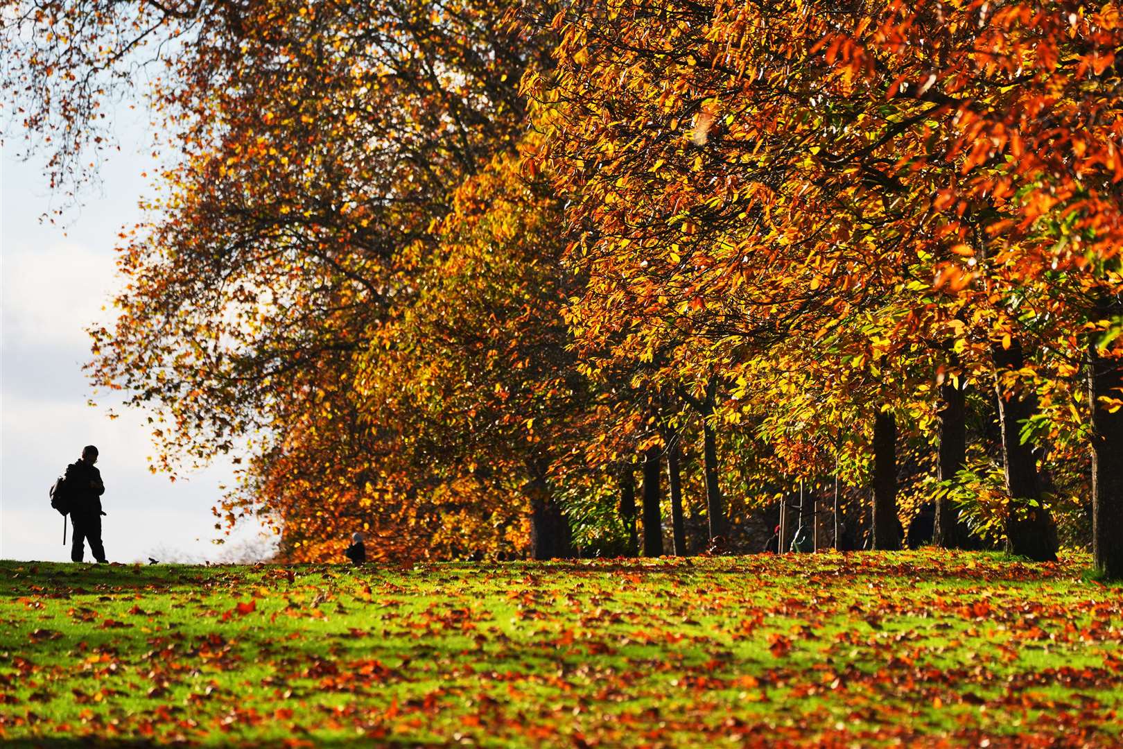 A visitor stands at the crest of a slope adjacent to Bridge’s Walk, Hyde Park, London (Jonathan Brady/PA)