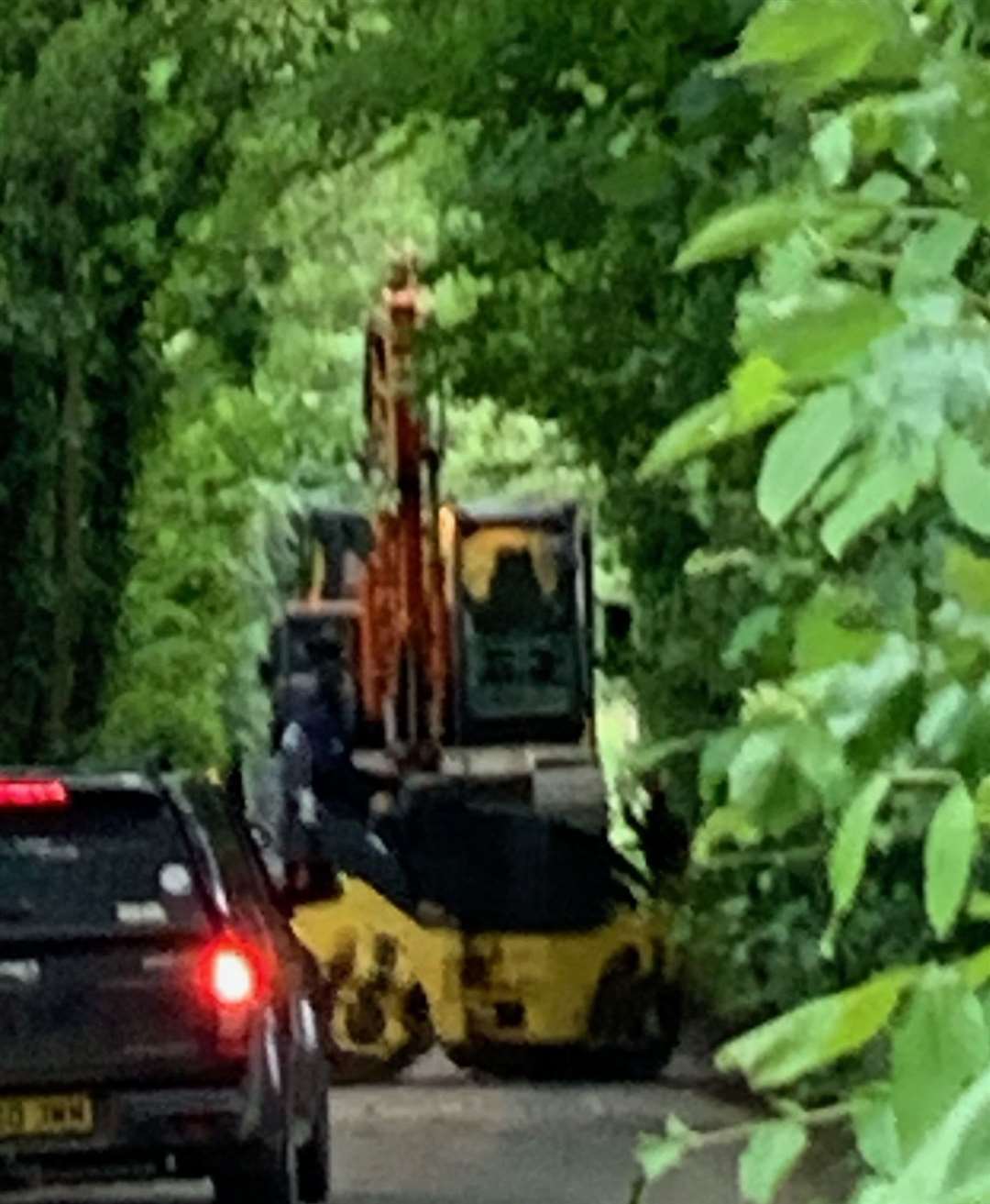 A truck also is said to have crashed into a tree on Birling Road over the weekend