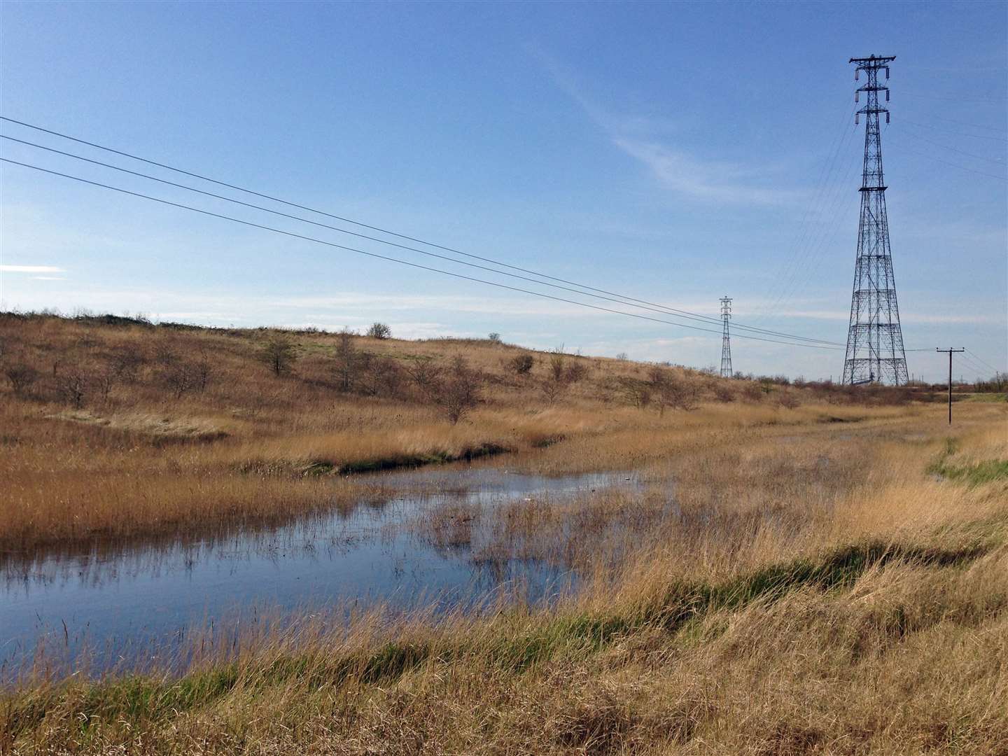 The Swanscombe Marshes were awarded SSSI status and protecting habitats and more than 200 species which live there. Picture: Diamond Geezer