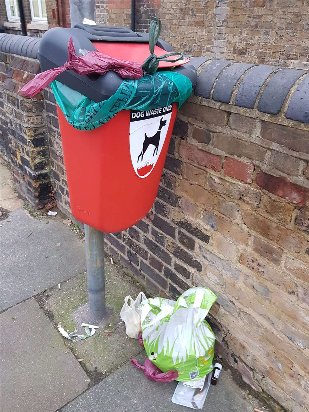 An overflowing dog poo bin in Dartford. Picture: Dartford Litterpickers (6426567)