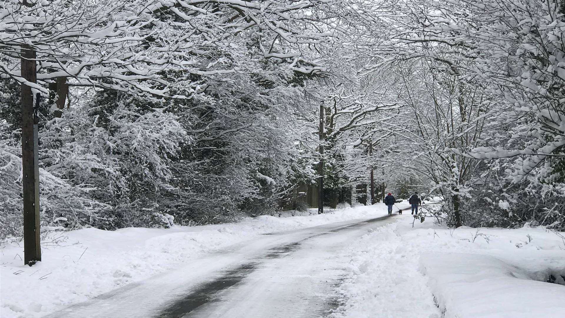 Snowy Staplehurst. Picture: Lesley Dunn.