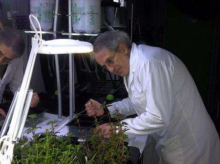 Alexander Bushell, founder of Boundless Horizons, tends his award-winning Solar Grow mobile germination and seedling plant factory at Kent Science Park.