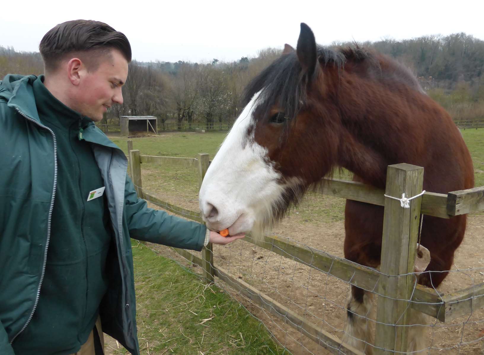 Walter settling in to Kent Life in Maidstone, with Lewis Ellen