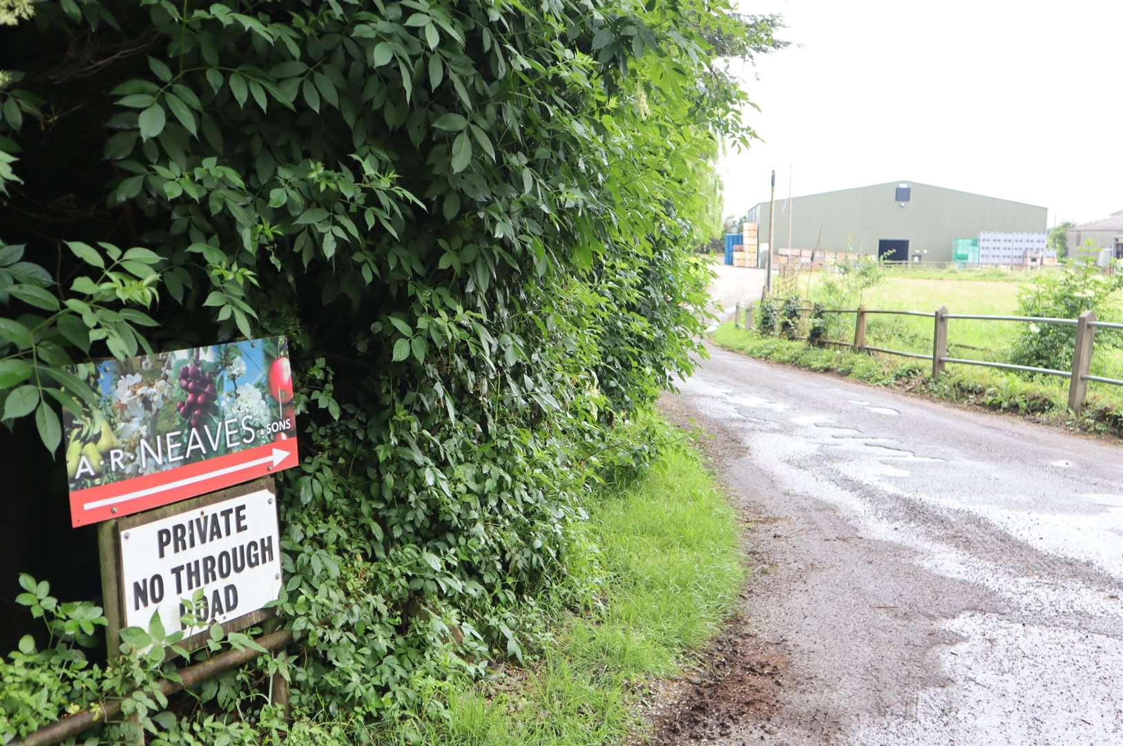 The filming took place at Little Sharsted Farm, Doddington. Picture: John Nurden