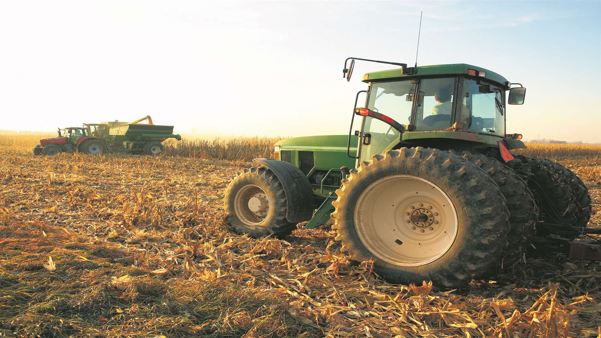 Agriculture is becoming a more sought after subject at colleges. Stock picture