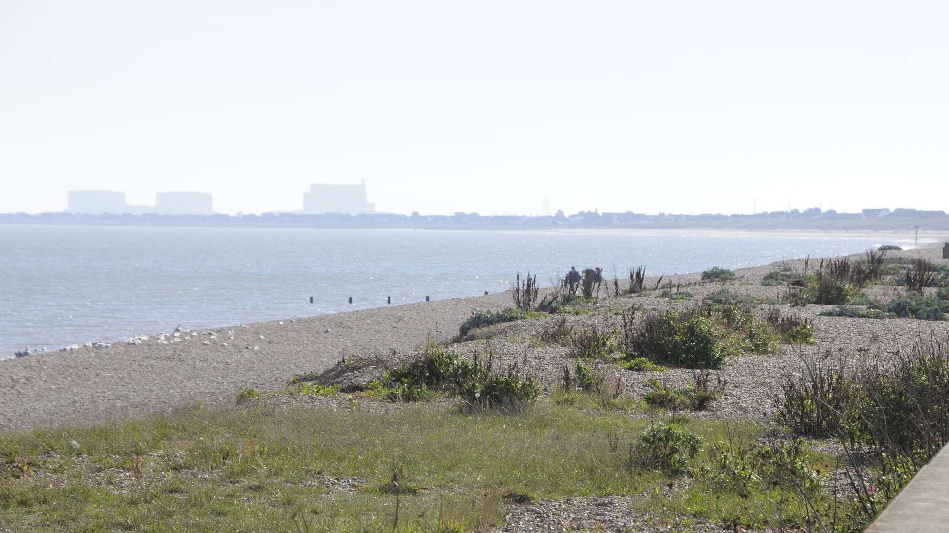 A man and his dog were stuck in the mud at Littlestone beach. Stock picture