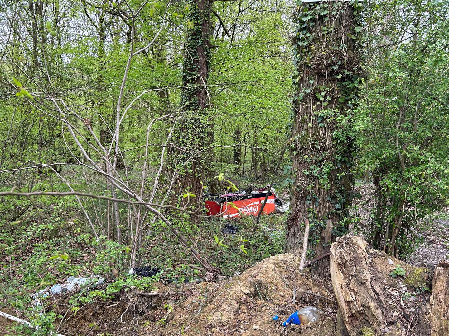 Various types of litter can be seen in the woodland