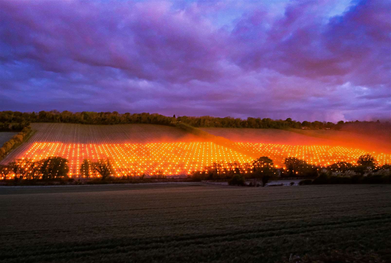 The worst frost the estate suffered was in 2017 when it lost about 70% of its crop. Picture: Helen Power / Simpsons Wine Estate