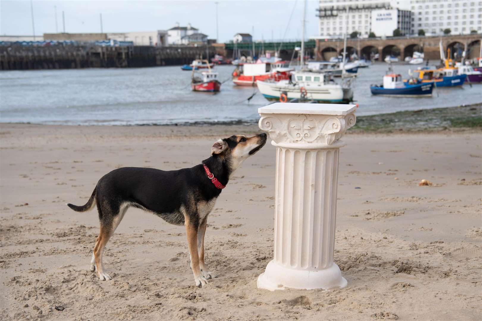 Everyone's interested in the Plinth Picture: Matt Crossick/PA Wire