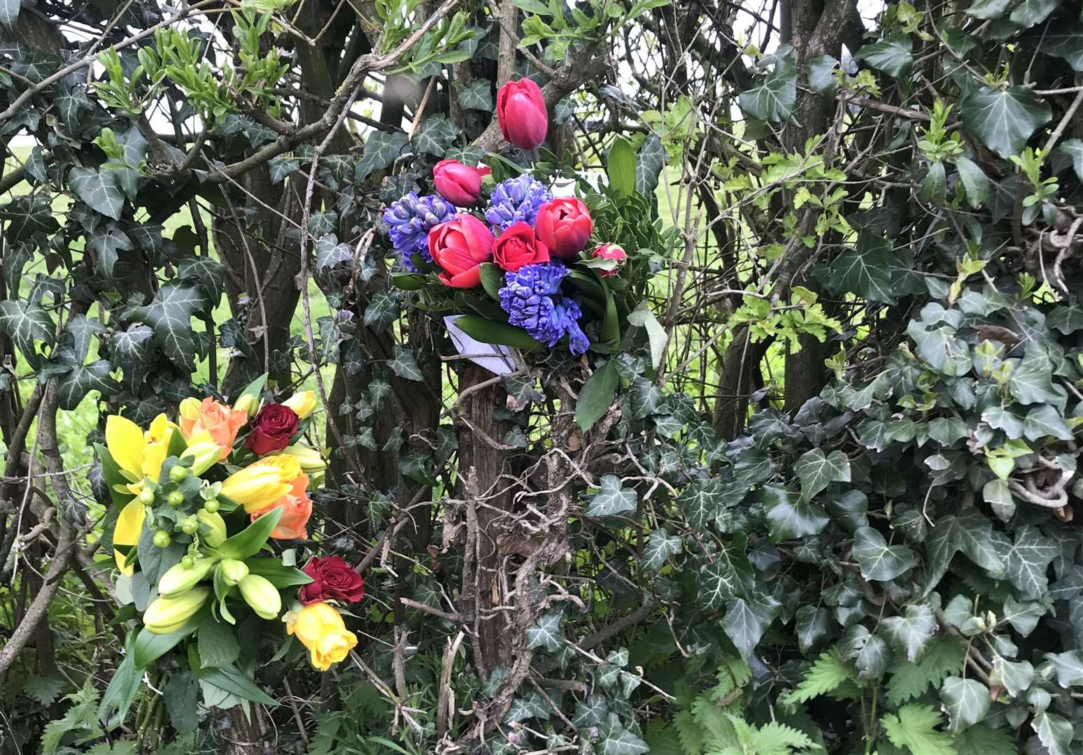 Floral tributes left at the scene (8714159)