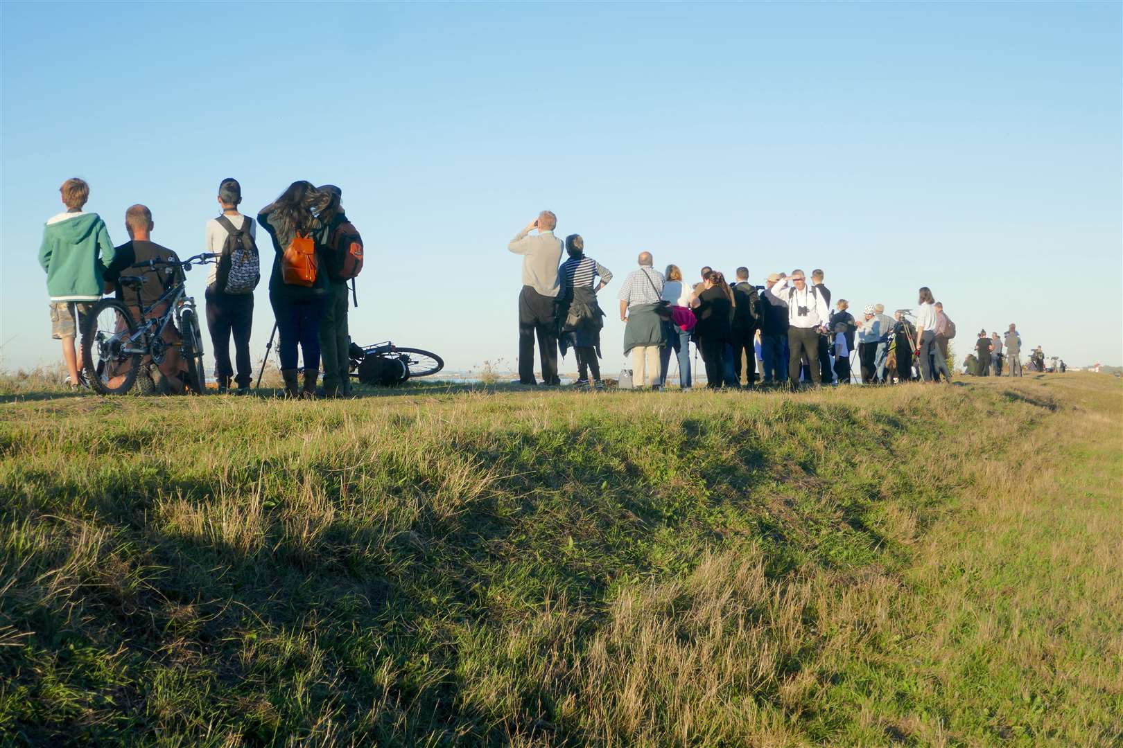 People flocked from across the country to try and spot the Beluga Whale. (4518106)