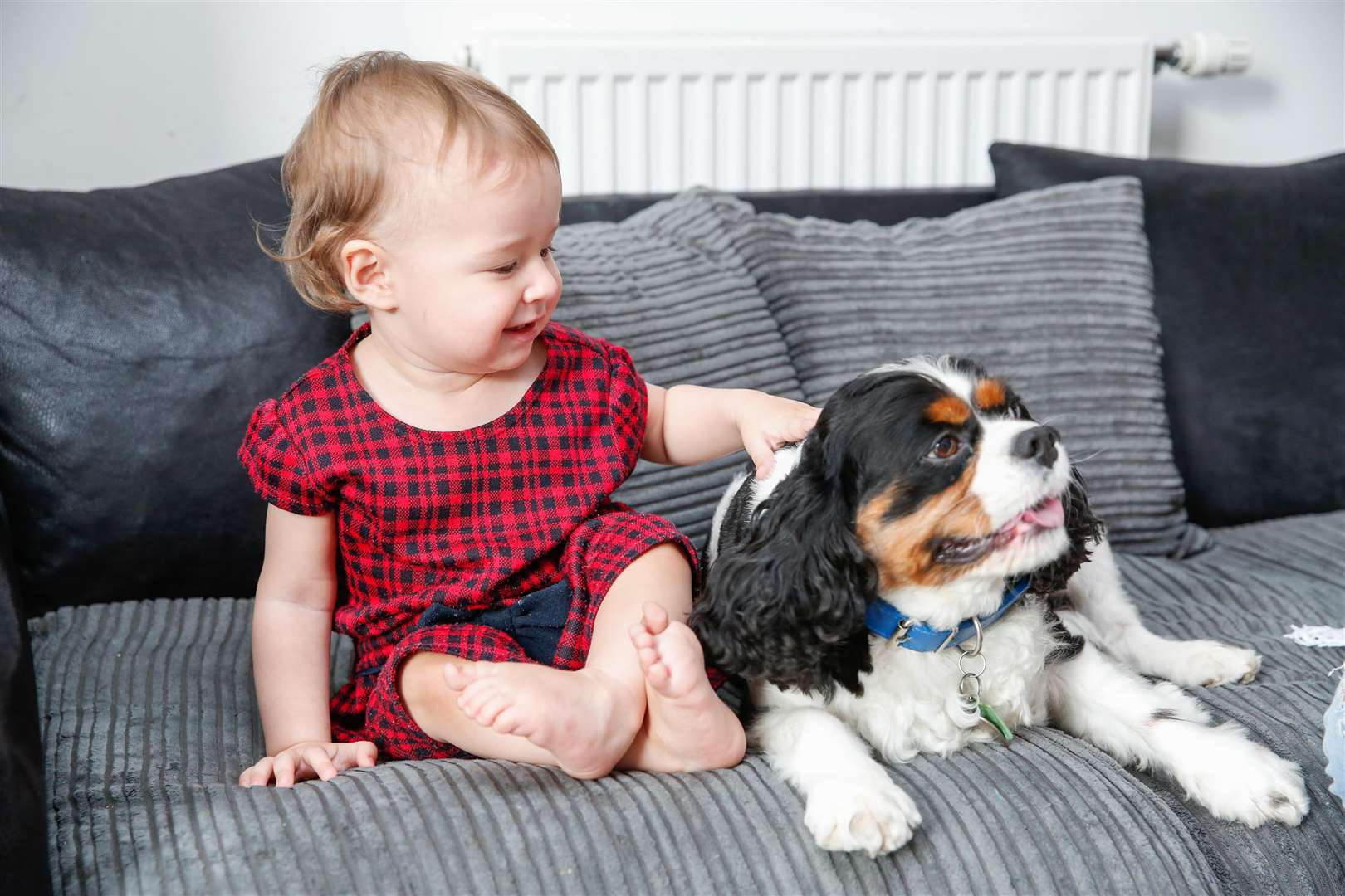 Chloe Showell and hero dog Louie the King Charles Cavalier. Picture: Matthew Walker