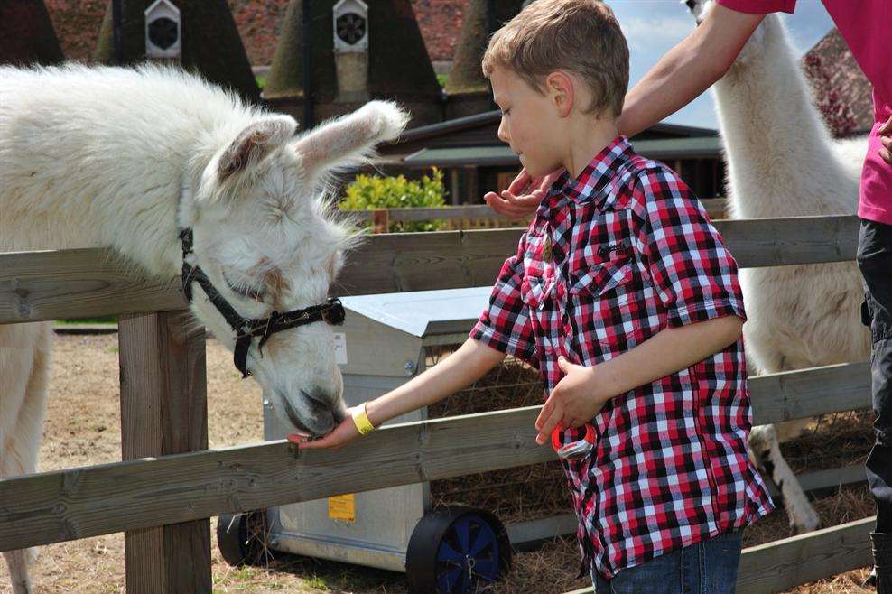 The Hop Farm Family Park began welcoming families for free last year