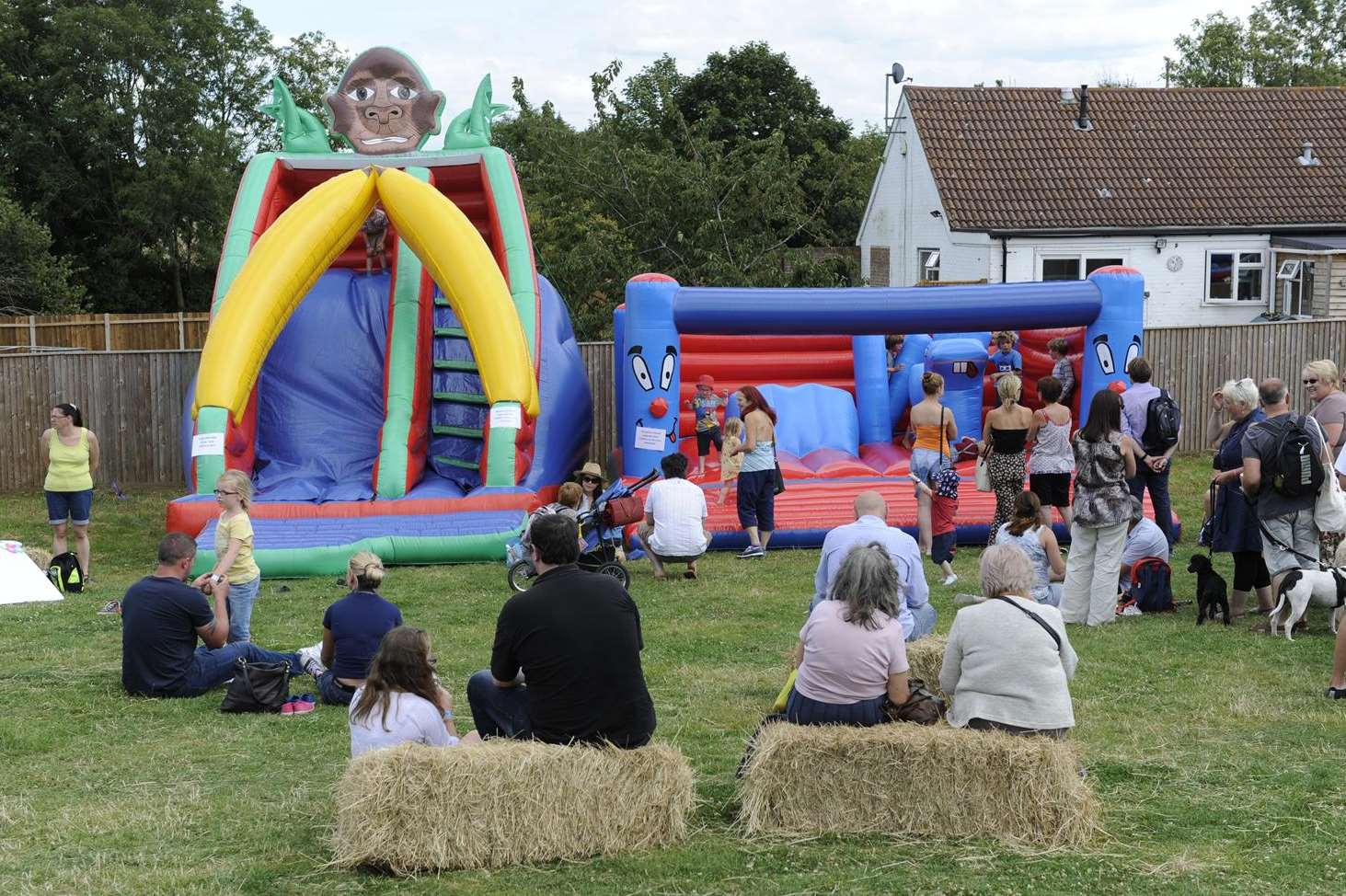 The fun day at Happy Endings Rescue where the dog was stolen