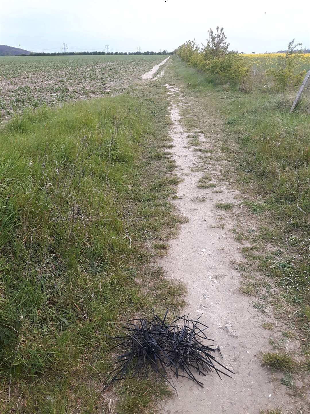 Plastic cable ties collected by Chalk resident Russell Palmer around the Seven Fields site which has been tested by workers for the Lower Thames Crossing project. Picture: Russell Palmer/Facebook