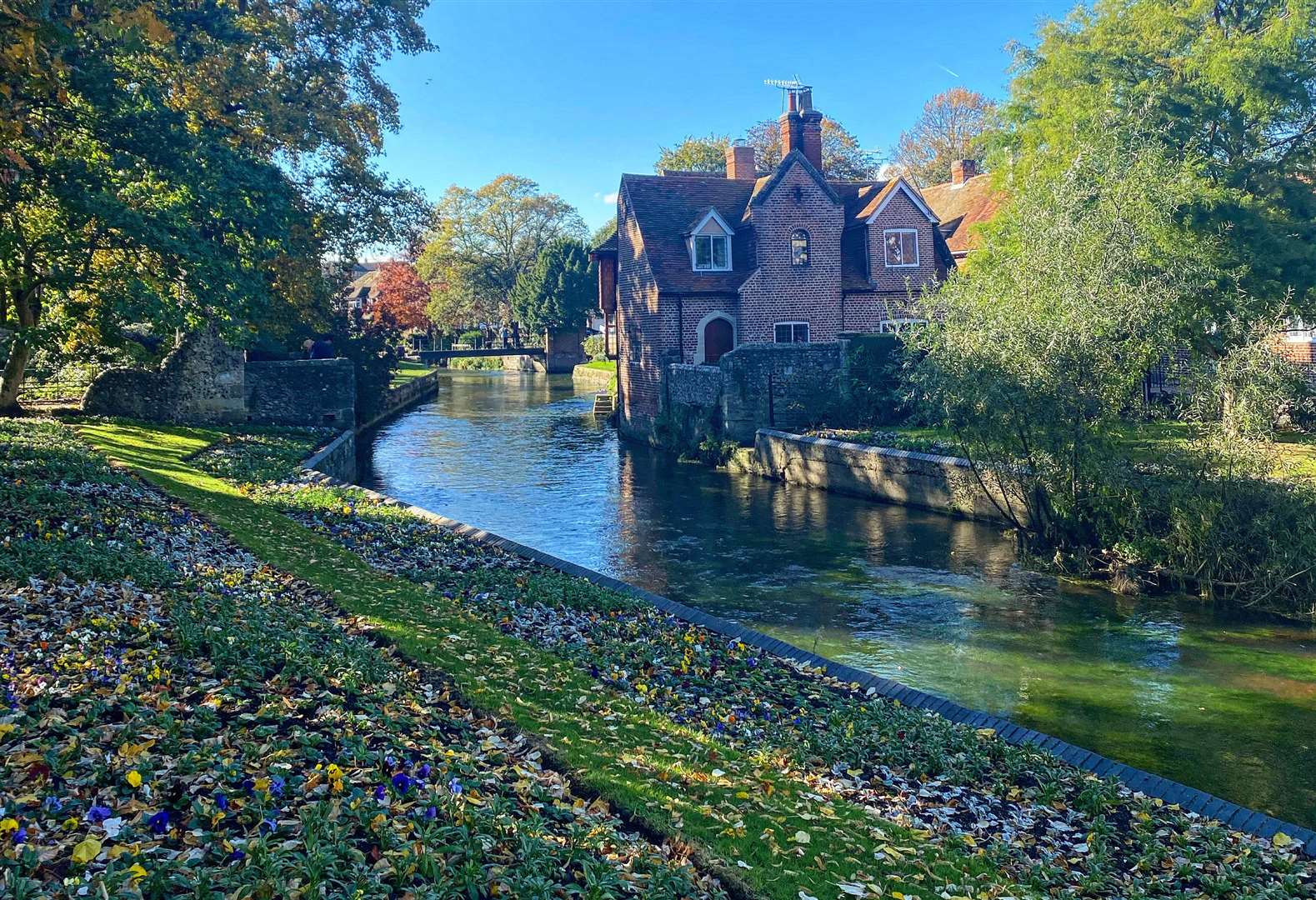 The gardens at Westgate Park are the perfect place for a summer stroll. Picture: Kirsty Lavender