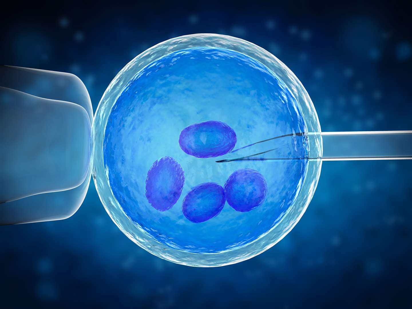 3d rendering ovum with needle for artificial insemination or in vitro fertilization