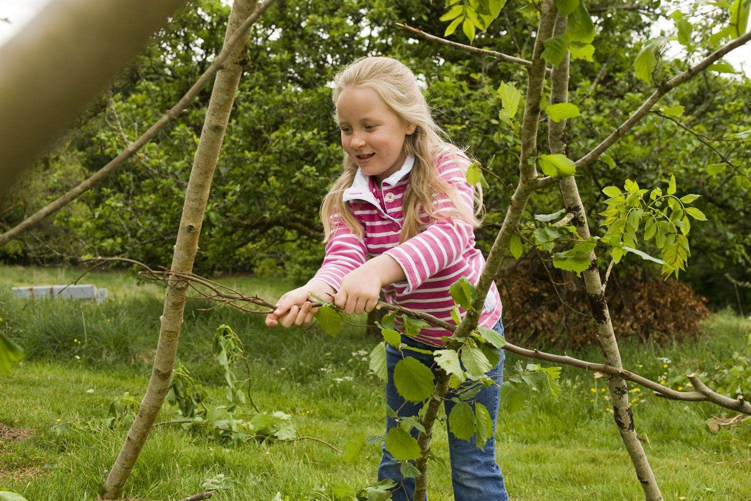 Woodland materials to make a den