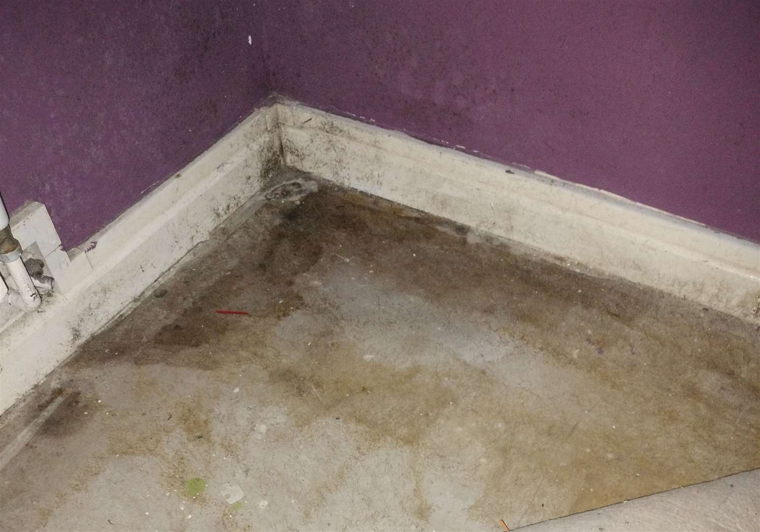 The mould under the flooring in Leslie Kemp's flat. Picture: Leslie Kemp