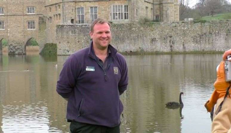 Leeds Castle's Mark Brattle is Maidstone's 'Swan Master' (8011065)