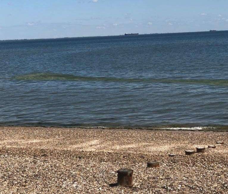 'Sewage' spotted in the sea off The Leas at Minster, Sheppey, turned out to be a 'bloom' of harmless algae. Picture: Jamie Forster