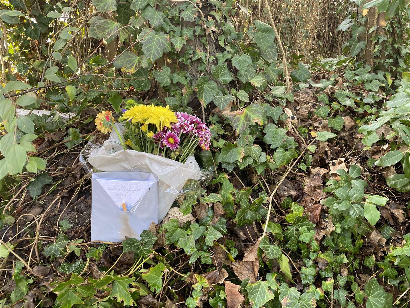 Floral tributes left for man named locally as Robert McNaughton