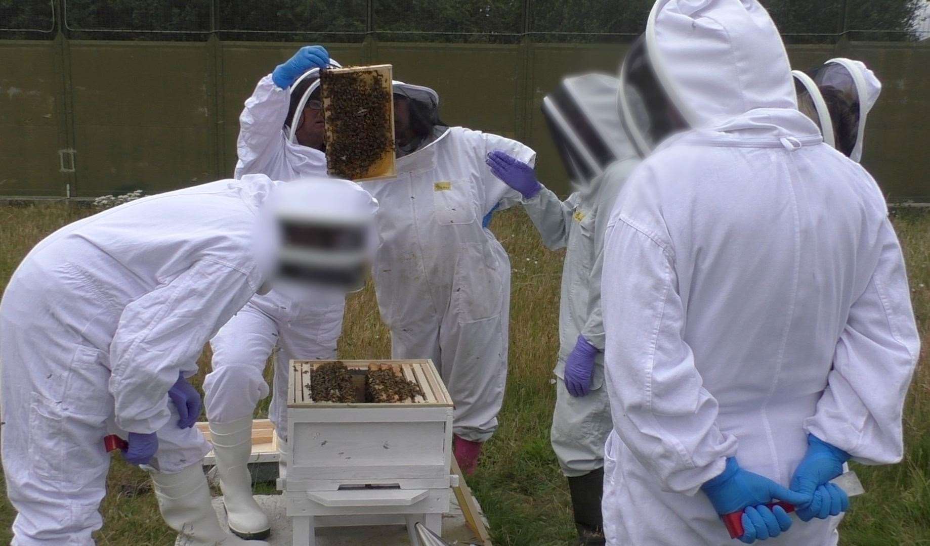 Activities such as the prison’s beekeeping scheme were praised