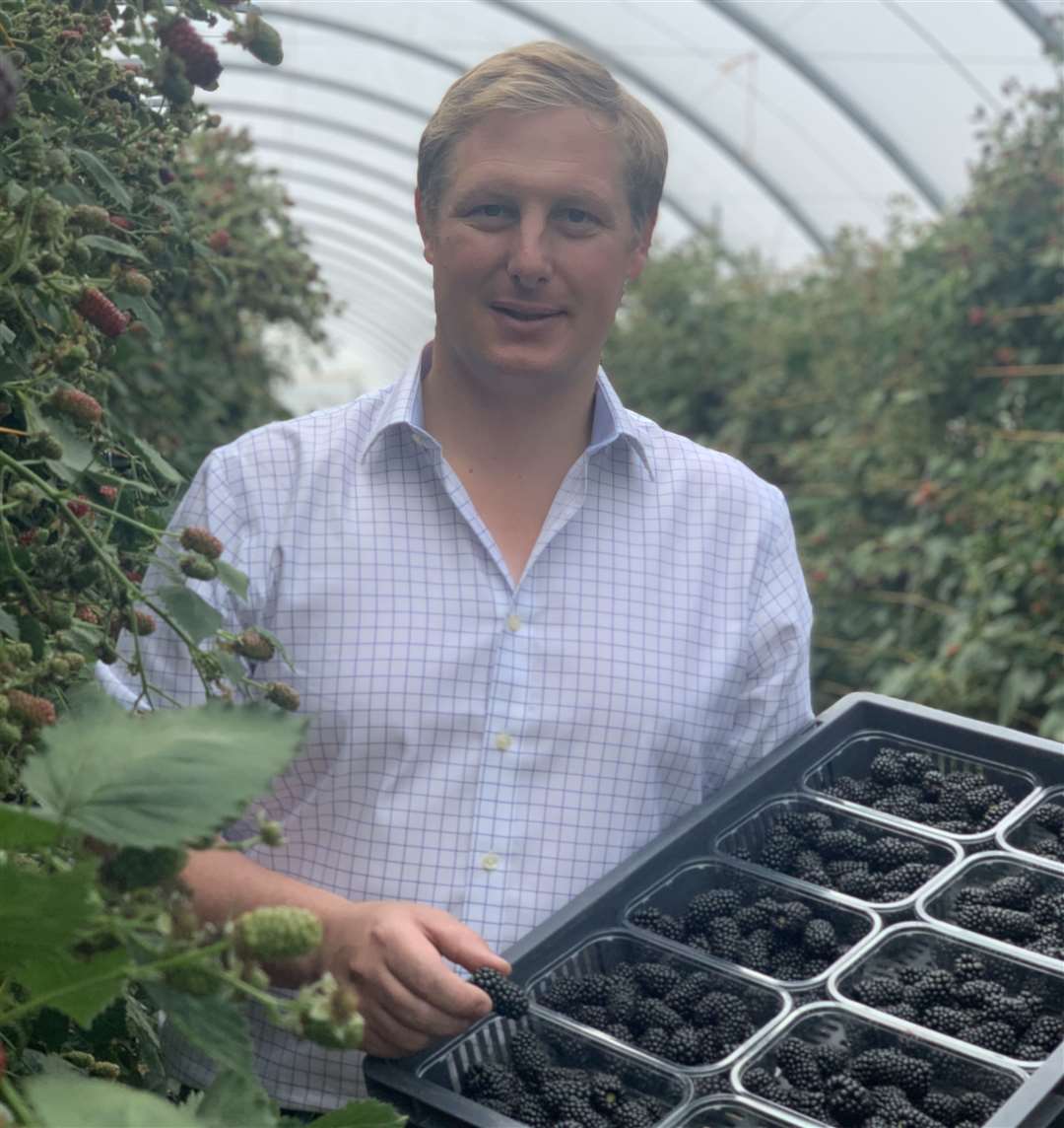 Oli Pascall, Managing Director at Clock House Farm with produce destined for supermarket shelves